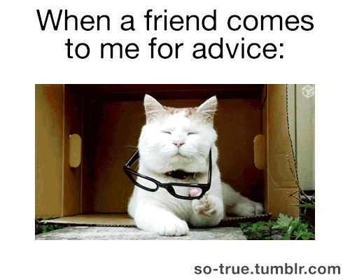 so-true:  so true 