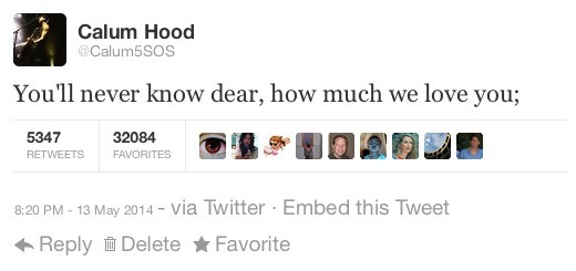 kitten5soslove:michaelpastelclifford:lukeyslegs: they are such sweethearts my heart
