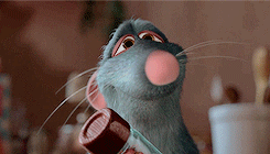 joekeerygif:  GET TO KNOW ME MEME: [2/5] favourite movies » Ratatouille 