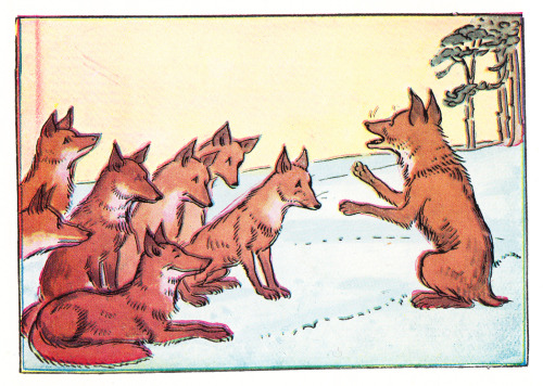 adelphe:  The fox without a tail Aesop’s Fables illustrated by S. R. Praeger, 1920