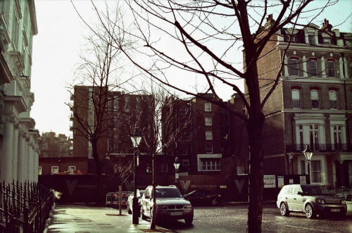 photosbysoph - Halcyon Progression