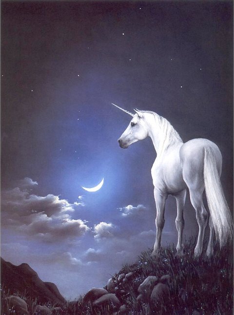 #unicorn