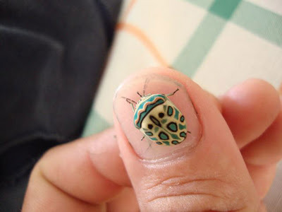 rhamphotheca:  scienceyoucanlove:  source Can someone please ID this little guy for
