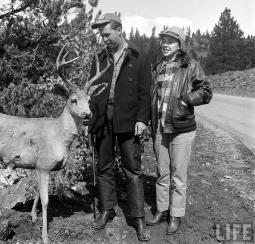 Hunter realized the deer he shot was a decoy(Loomis Dean. 1949)