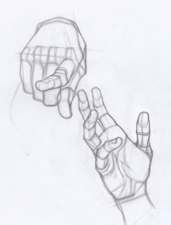 anatoref:  Hand Studies 