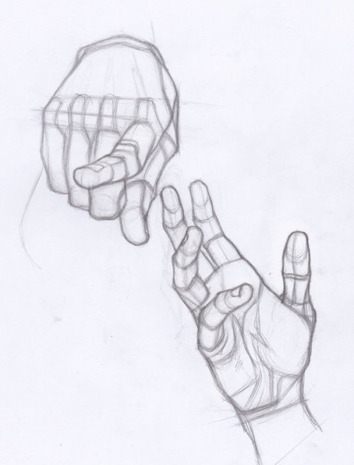 XXX anatoref:  Hand Studies  photo