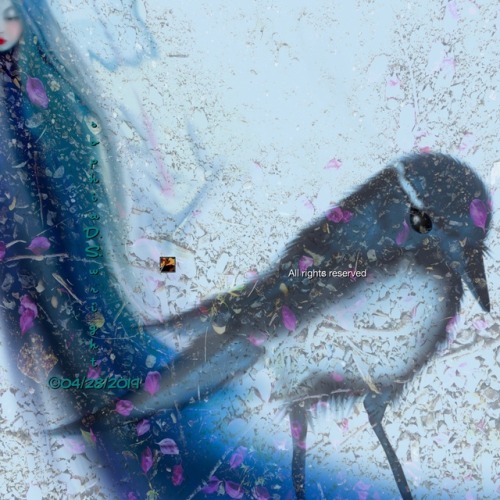 A Landscape Of Azur And Of Gold (with Closeups) (April 28, 2019)