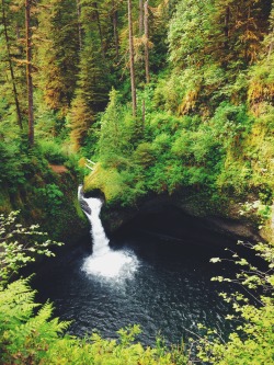 therealistoptimist:  Eagle Creek Trail, Oregon