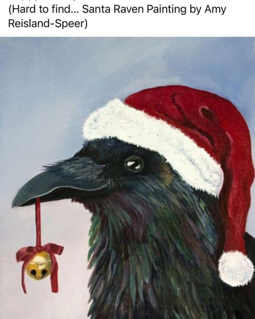 Happy Holidays from my Crow to yours! #happyholidays #merrychristmas #joytotheworldhttps://www.ins