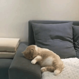 swallowurteeth:dr-pepsi:     OH NO HE CRASHED HIS BIKE
