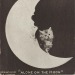 academia-core:photography was invented to take pictures of cats