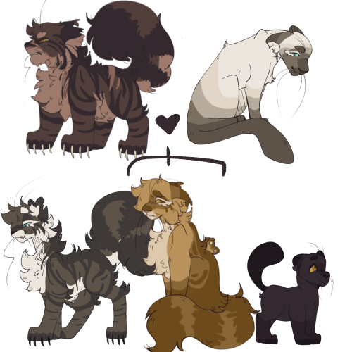 The Kitties