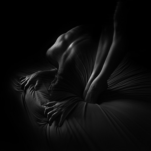 elisebrown:  Twig Capra Photography 