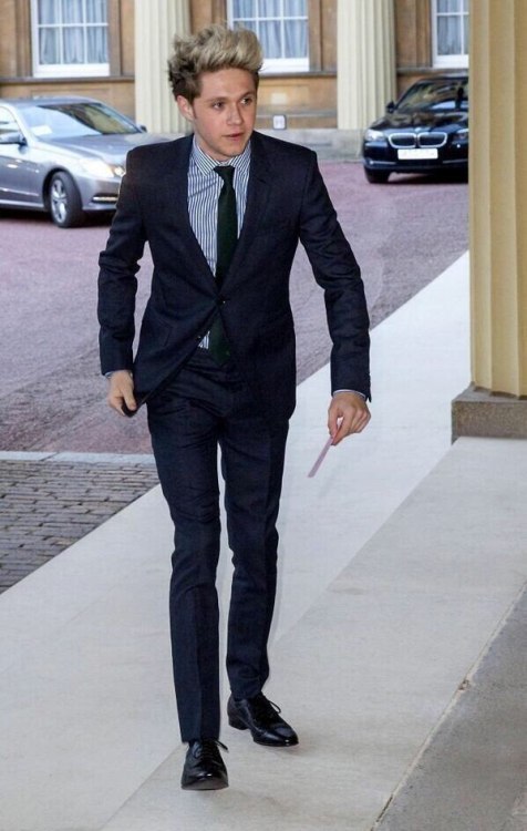 direct-news:Niall at the Irish Community Reception at Buckingham Palace (25/03/2014)
