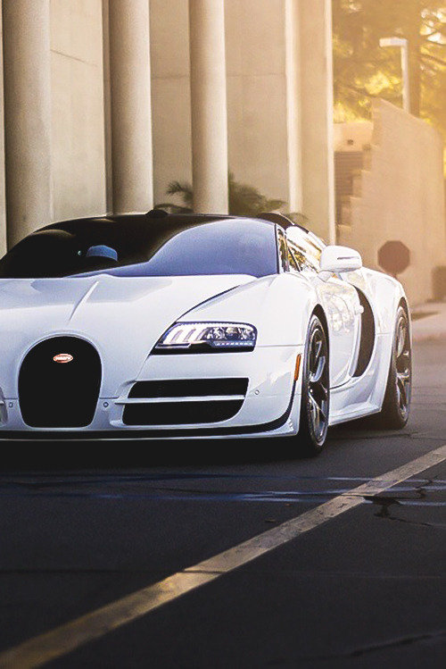 motivationsforlife:  Bugatti Veyron Vitesse L'Orque Blanc // Edited by MFL