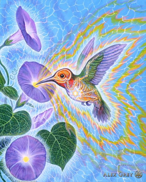 fuckyeahalexgrey:  Alex Grey - Progress of the Soul pt. 45  “Hummingbird”, 2005, acrylic on wood.