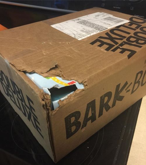 What happens when you leave the Bark Box on the floor and tell them they have to wait for the next m