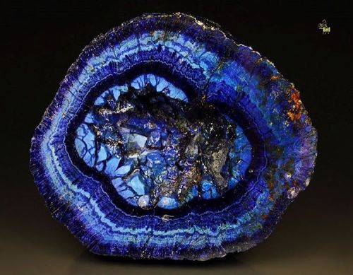 geologypage:  Azurite | #Geology #GeologyPage #Mineral  Chemical Formula: Cu3(CO3)2(OH)2  Locality: Poteryaevskoe Mine, Rubtsovskoe Cu-Zn-Pb deposit, Rudnyi Altai, Altaiskii Krai, Western-Siberian Region, Russia  Dimensions: 44 mm x 39 mm x 19 mm  Photo