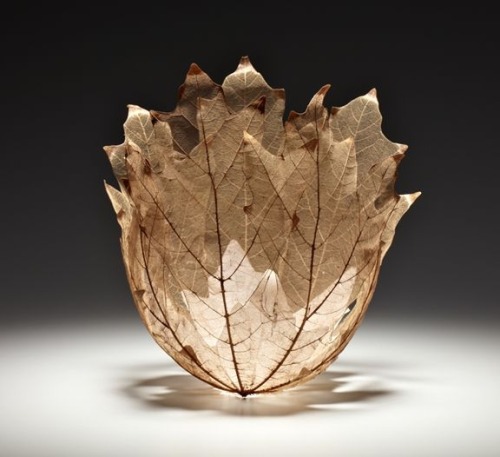 littlelimpstiff14u2: Beautiful Leaf Bowls Made From Real Leaf Skeletons by Kay Sekimachi Ethereal bo