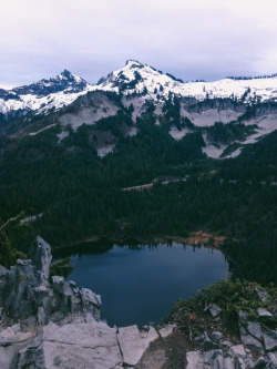 leaberphotos: Looking for our paradise Mount Rainier National Park, WA instagram  My friend just got hired there!