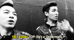 :  Tabi’s reaction to seeing a cute puppy (◡‿◡✿) 