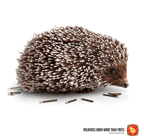 XXX asylum-art:  11 . Powerful Animal Ad Campaigns photo