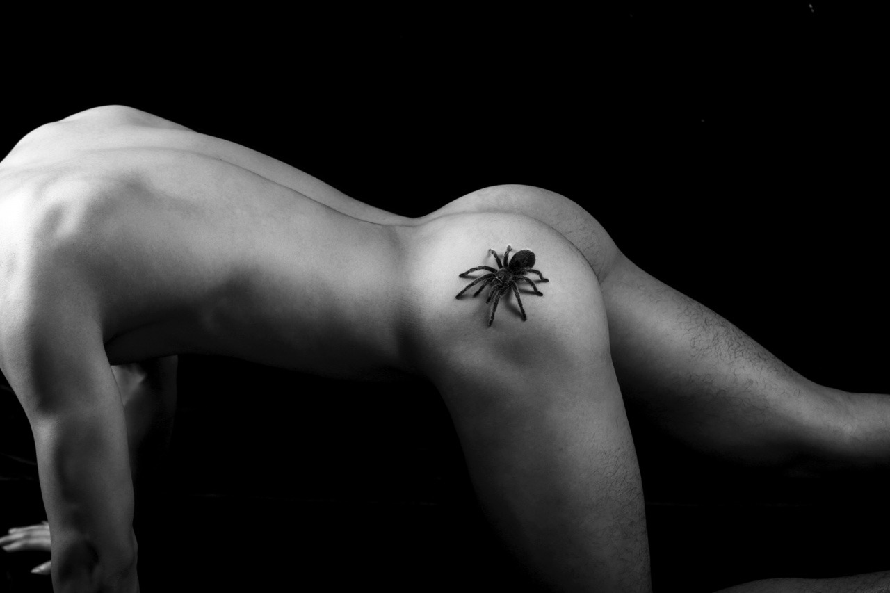 cgubcffukogdee:  狼蛛🕷️