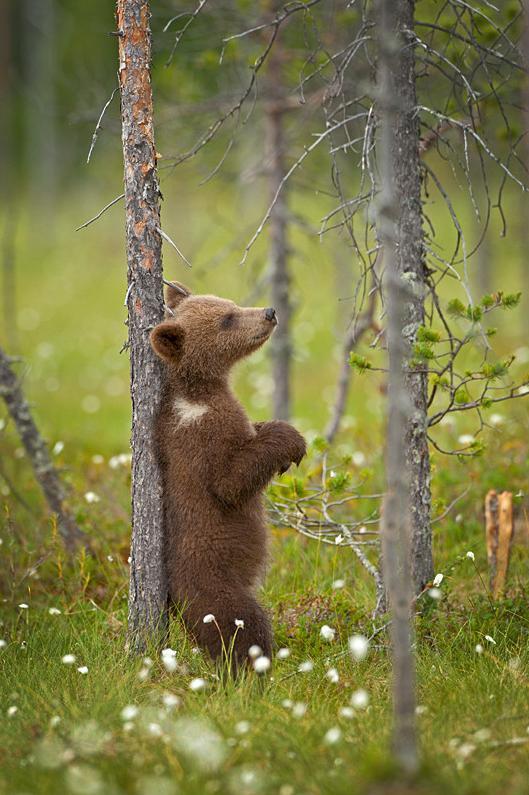 waasabi:  Daydreaming.. by Brett Lewis 