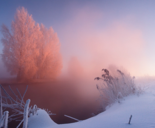 magic-spelldust:  Pastel Winter Scenes (photos by Алексей Угальников) 