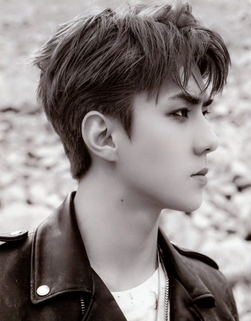 oh sehun – ‘don’t mess up my tempo’ album (moderato ver.)