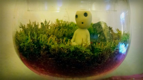 One of my hobbies. I really enjoy making terrariums and decorating them. I made the kodama by mixing