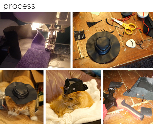 rflog:I made a tiny leather pirate hat for Robb’s kitty over the weekend. Alas, I lack photos of sai