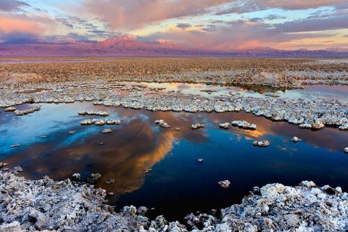 The Salar de Atacama. Located in the world&rsquo;s driest area of northern Chile, where some pla