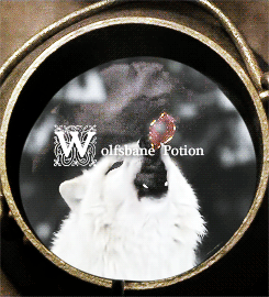 seerspirit-blog:HARRY POTTER HISTORY MEME: two inventions [½] → Wolfsbane Potion“My tra