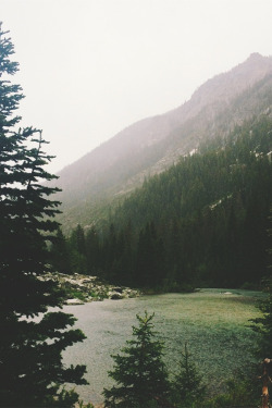chernobyl-tea-party:  n-c-x:  urbanissues:  vertical landscapes  nature blog  Mostly nature 