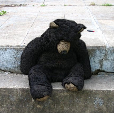creepy teddy bears for sale