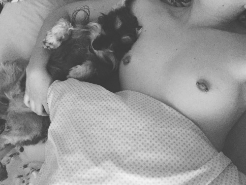 vieillelune: morning cuddles. adorable.