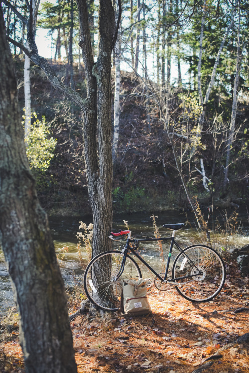 gettingahealthybody:  Autumn; favorite season ever.