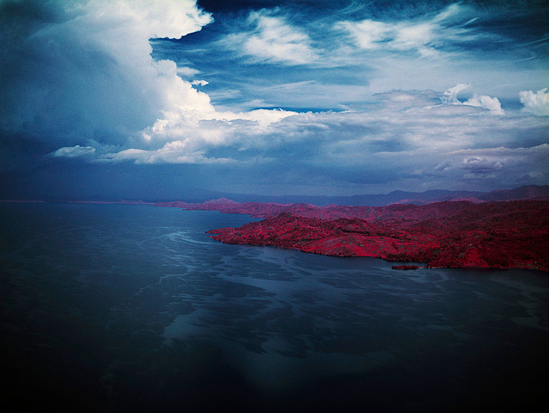 kateoplis:  Richard Mosse, Love is the Drug 