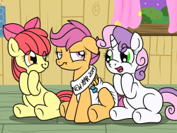 crinkleloo:  Sweetie Belle: Doesn’t our New Year’s baby look adorable Applebloom? Applebloom: She sure does, ah think she’s cute when she’s grumpy as well hehe. Scootaloo: I should have guess this was going to happen… (( Happy New Year 2014