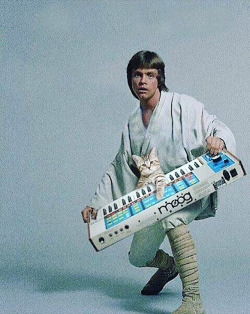 CATS ON SYNTHESIZERS IN SPACE