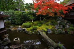 quiet-nymph:   京都もよう　KYOTO MOYOU - kyotomoyou on Instagram   