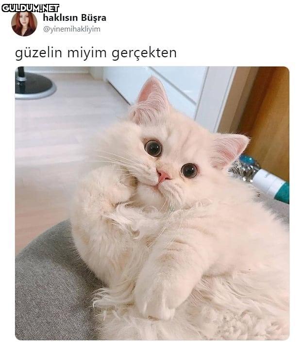 güzelin miyim gerçekten