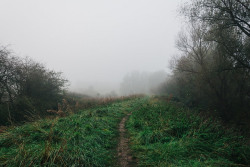 90377:Thick fog by Jeroen Verhulst on Flickr.