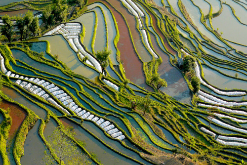 nubbsgalore:the remote, secluded and little known rice terraces of yuanyang county in china’s yunnan