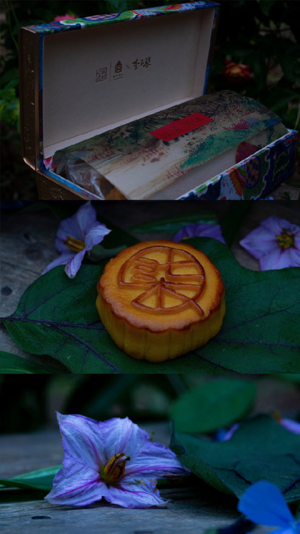 yansanniang:@ 李子柒 Mooncakes for mid-autumn festival in a gorgeous container, by famous Chinese vlogg