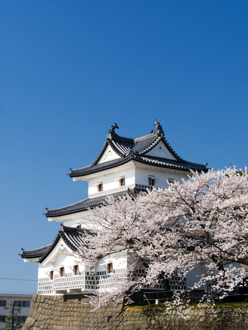 新発田城三階櫓 Shibata Castle by かがみ～