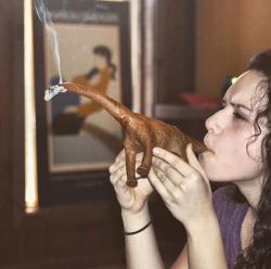 taylorrose-xx:  obscenewasteofbandwidth:if I’m not mistaken thats a Bluntosaurus.  Oh my god. 😍