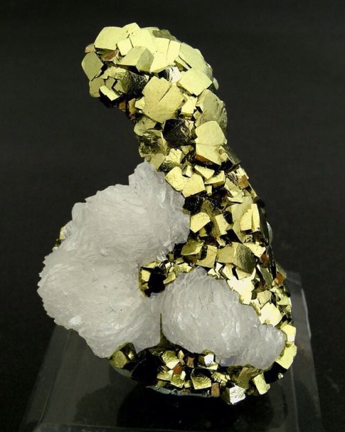 geologypage: Pyrite, Calcite | #Geology #GeologyPage #Mineral Locality: Panasqueira Mines, Covilhã, 