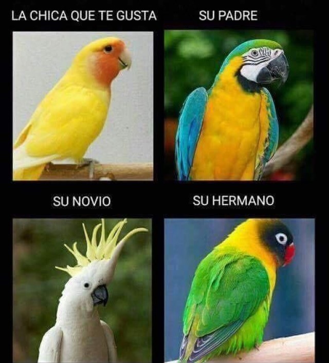 elpalodelchurrero:  No sé qué ha visto en mí…